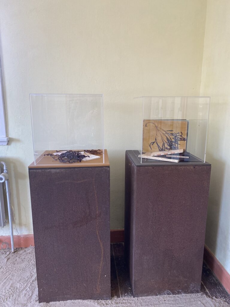 galleri3