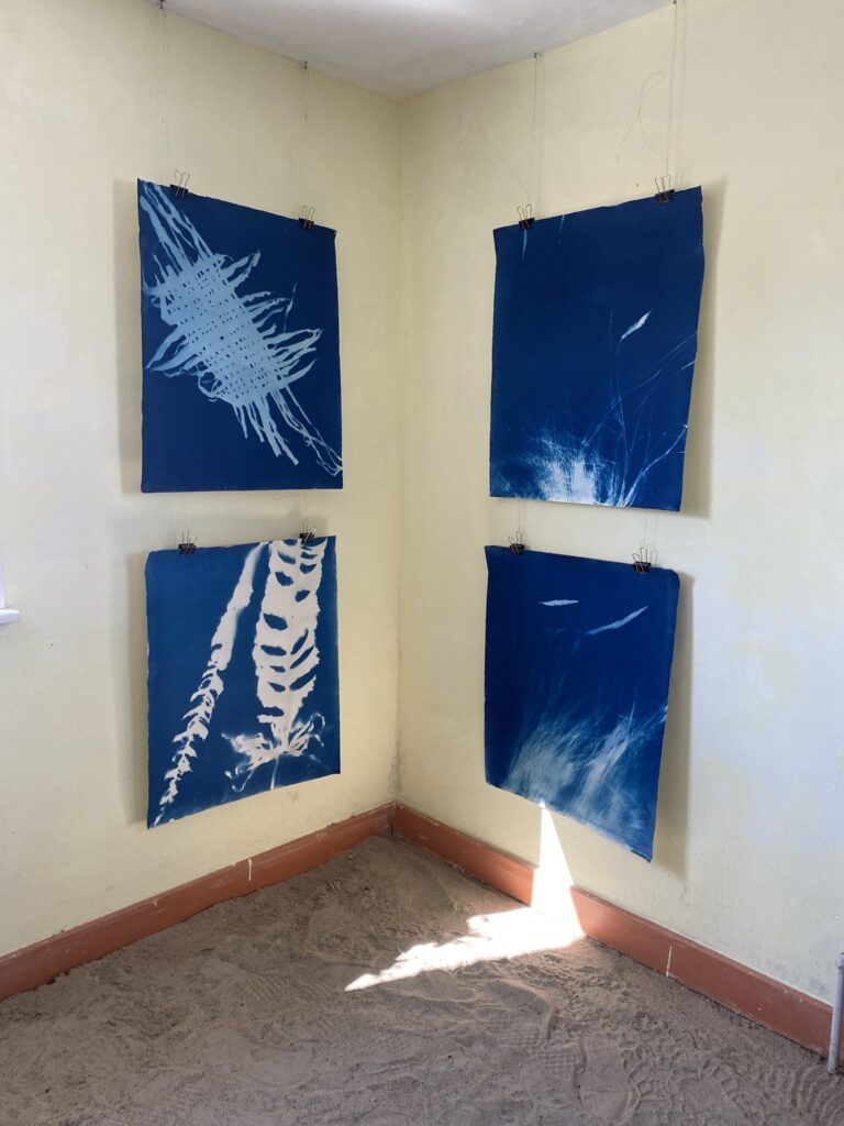 galleri5